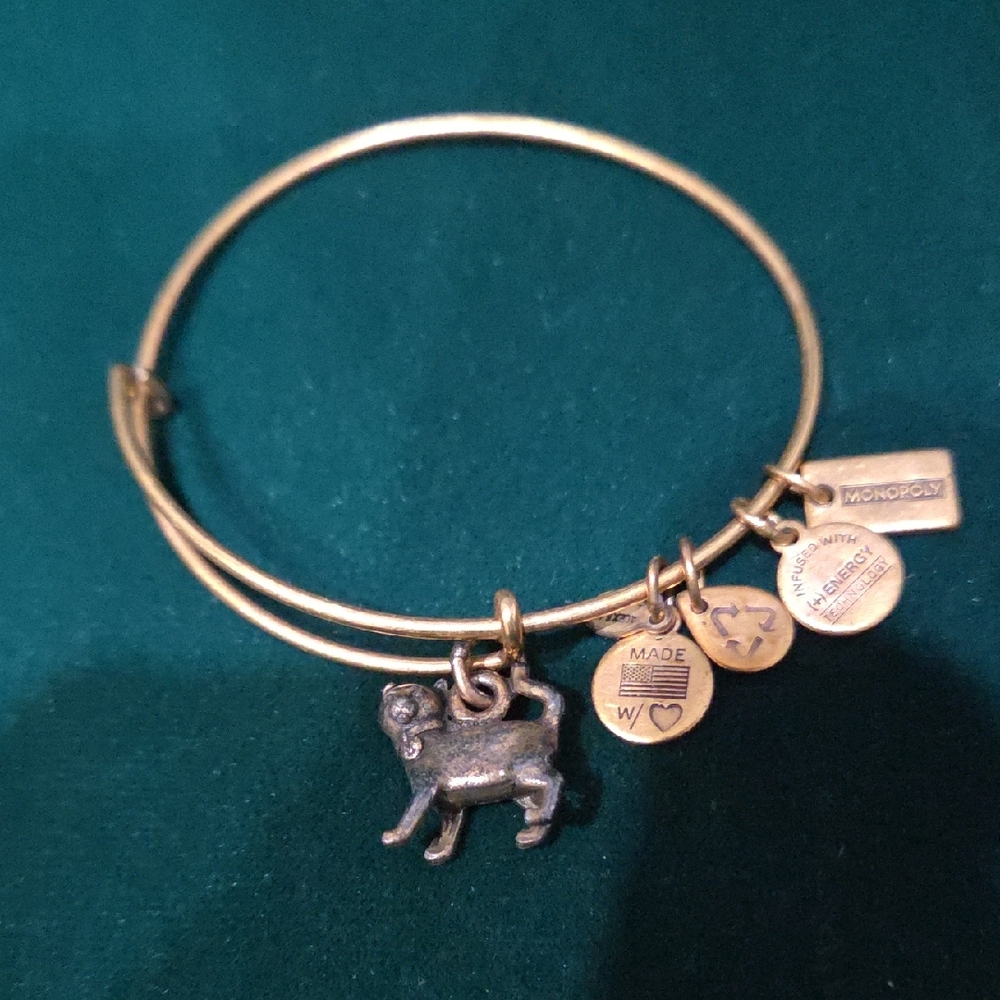 Alex and Ani Charm Bangle Bracelet - Hasbro Monopoly Edition